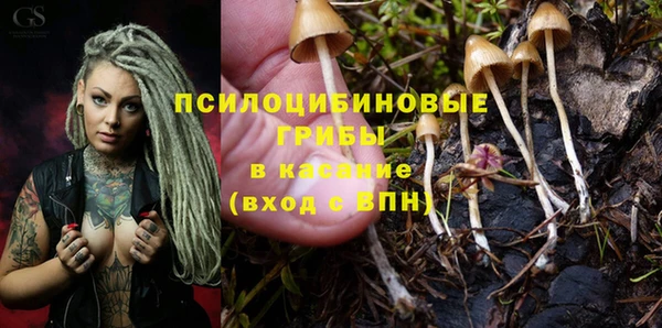 тгк Абаза