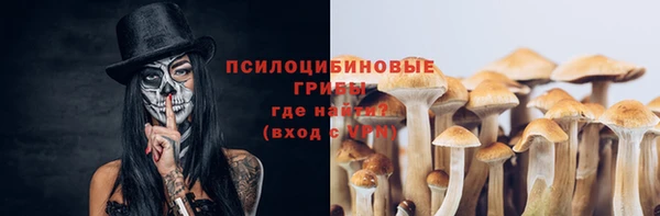 тгк Абаза