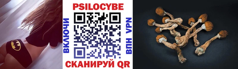 Галлюциногенные грибы ЛСД  darknet состав  Зерноград  OMG  